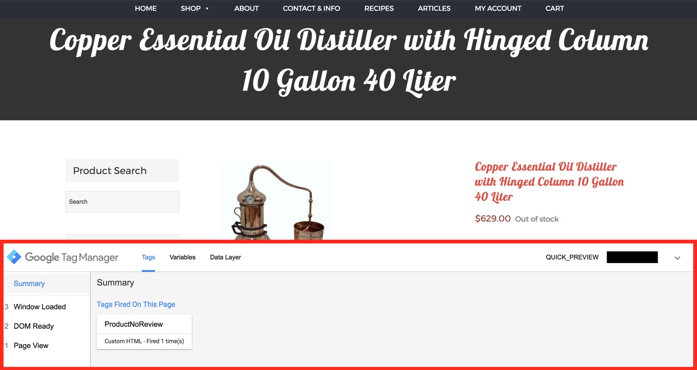 Google Tag Manager Preview View